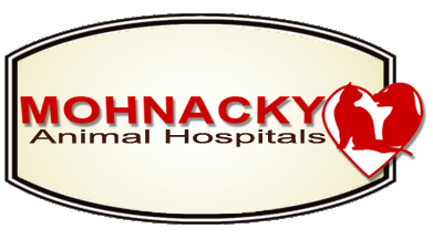 Mohnacky Animal Hospitals in California; Serving Carlsbad, Escondido and  Vista | Mohnacky Animal Hospitals in California